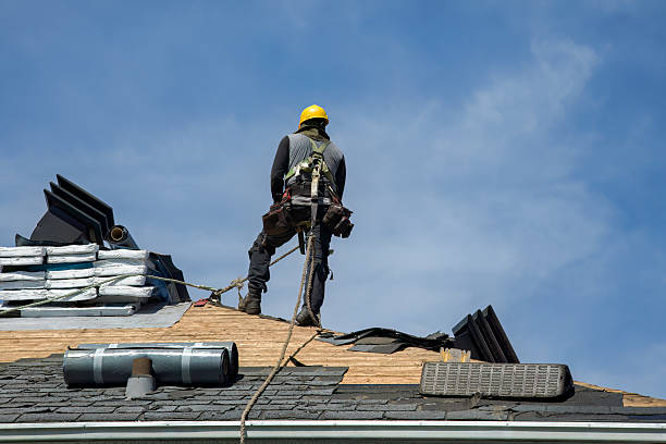 Professional Storm Damage Roof Repair technician working in Rockford, MN